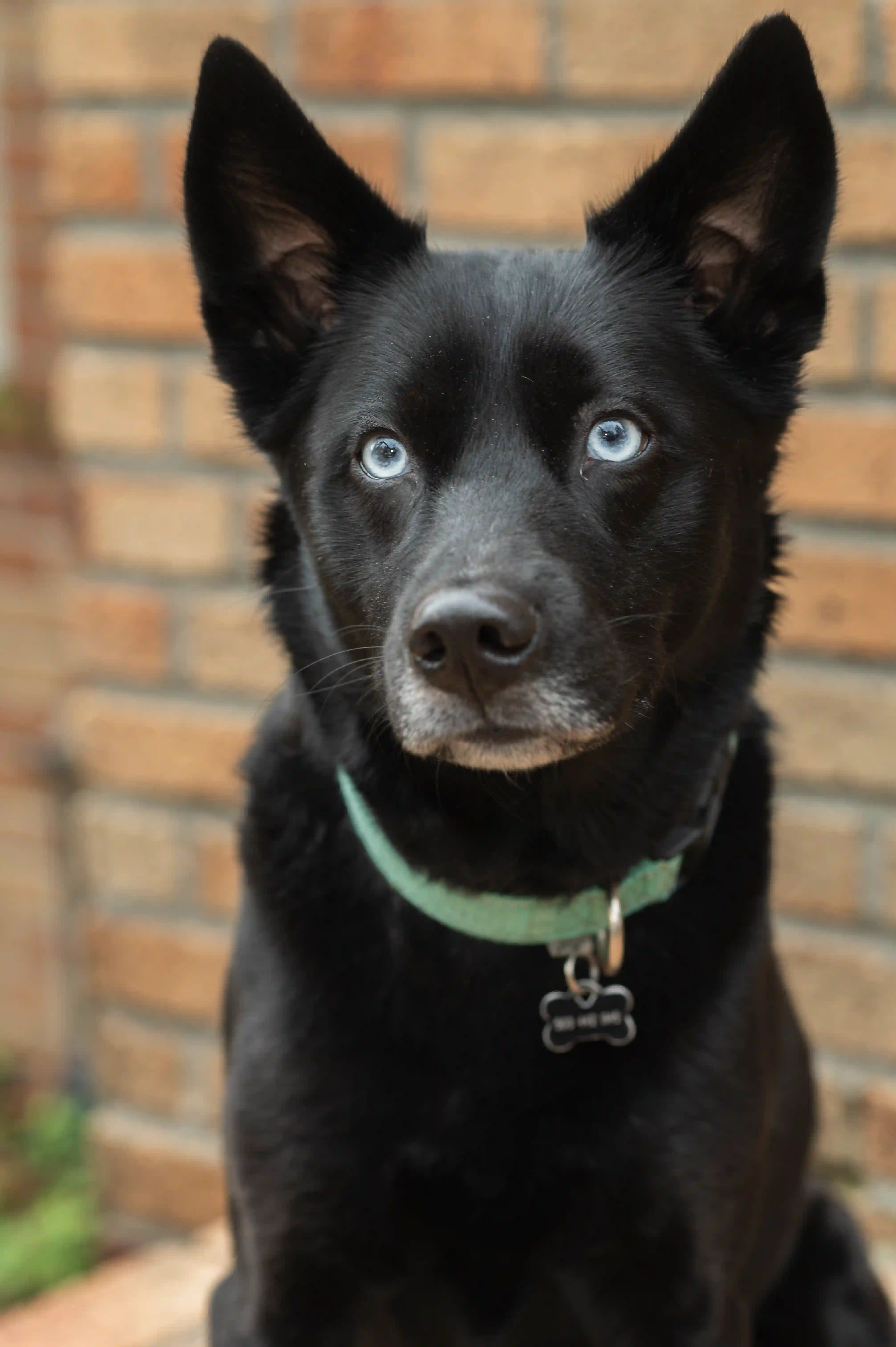 Ella