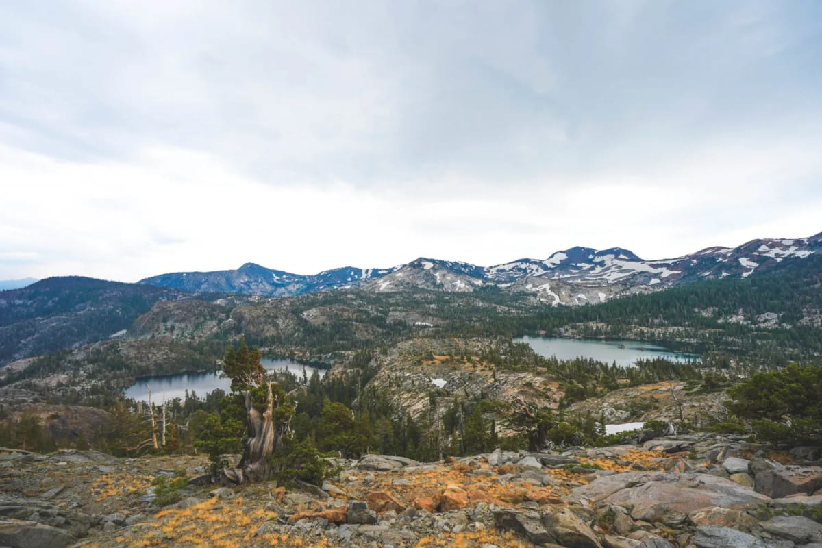 Oregon state — DUII laws and diversion program